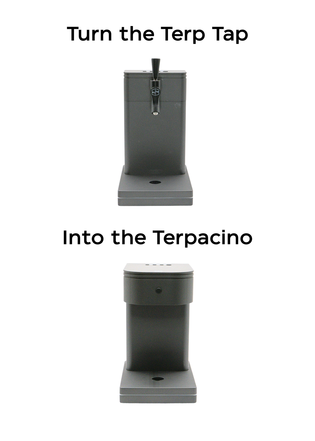 Terpacino Top